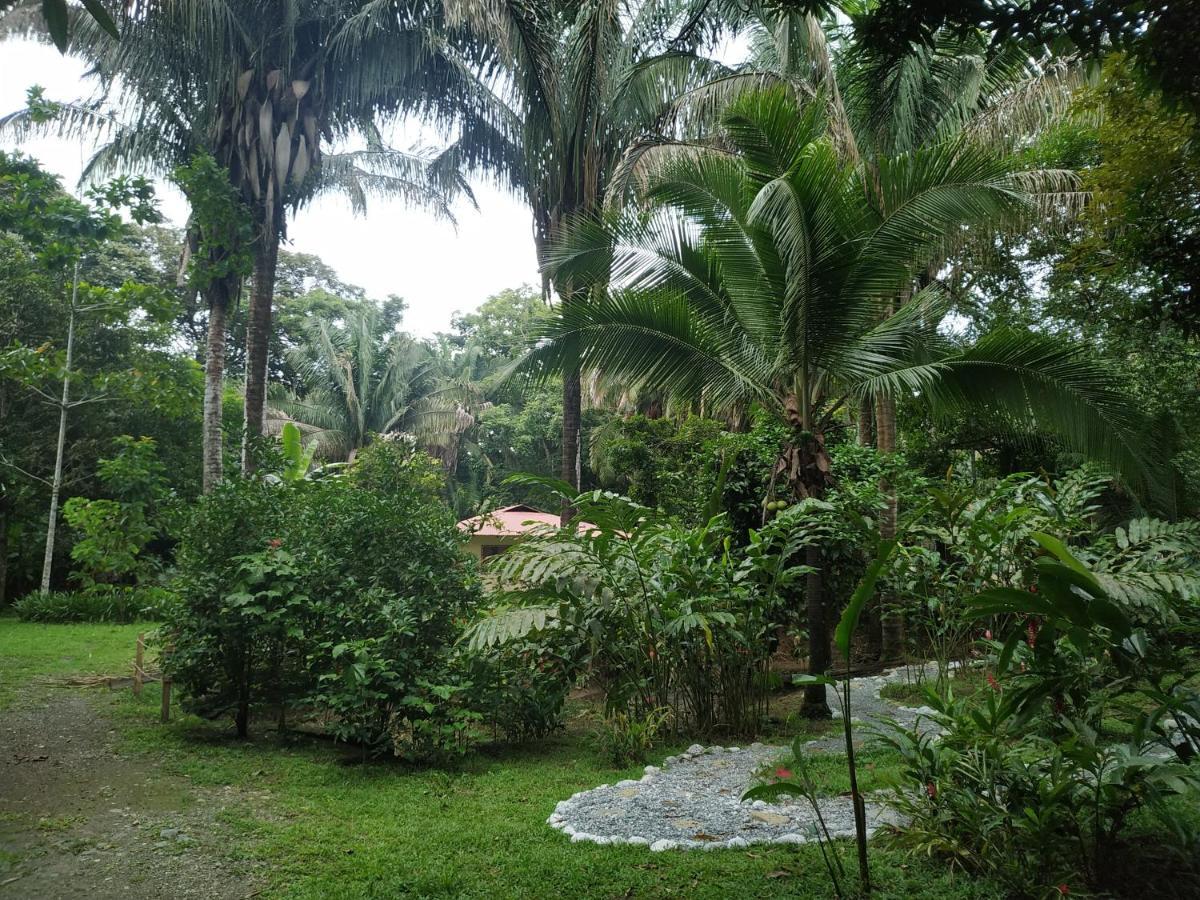 Four Monkeys Eco Lodge - Jungle & Beach Cabo Matapalo Buitenkant foto