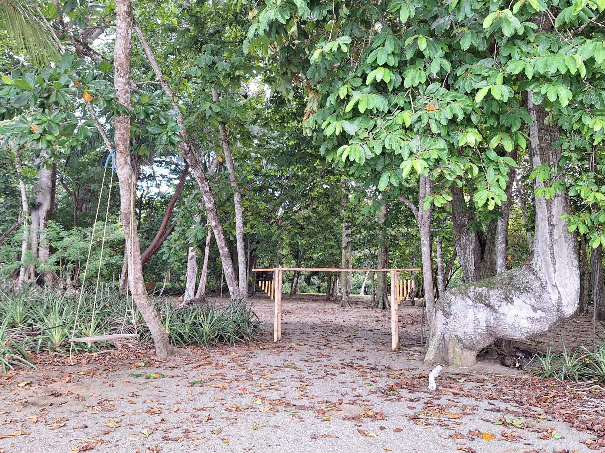 Four Monkeys Eco Lodge - Jungle & Beach Cabo Matapalo Buitenkant foto