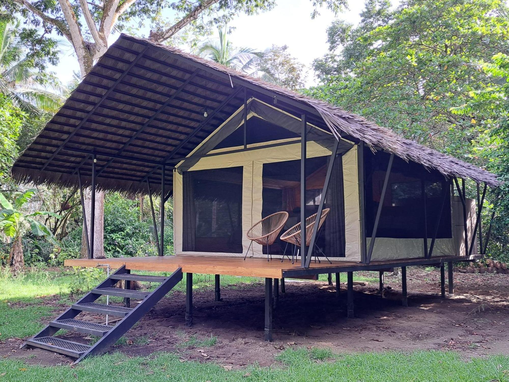Four Monkeys Eco Lodge - Jungle & Beach Cabo Matapalo Buitenkant foto