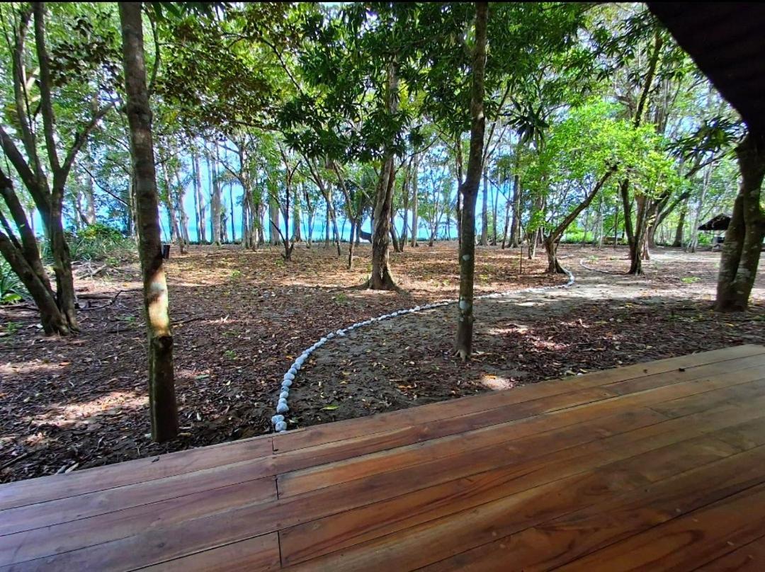 Four Monkeys Eco Lodge - Jungle & Beach Cabo Matapalo Buitenkant foto