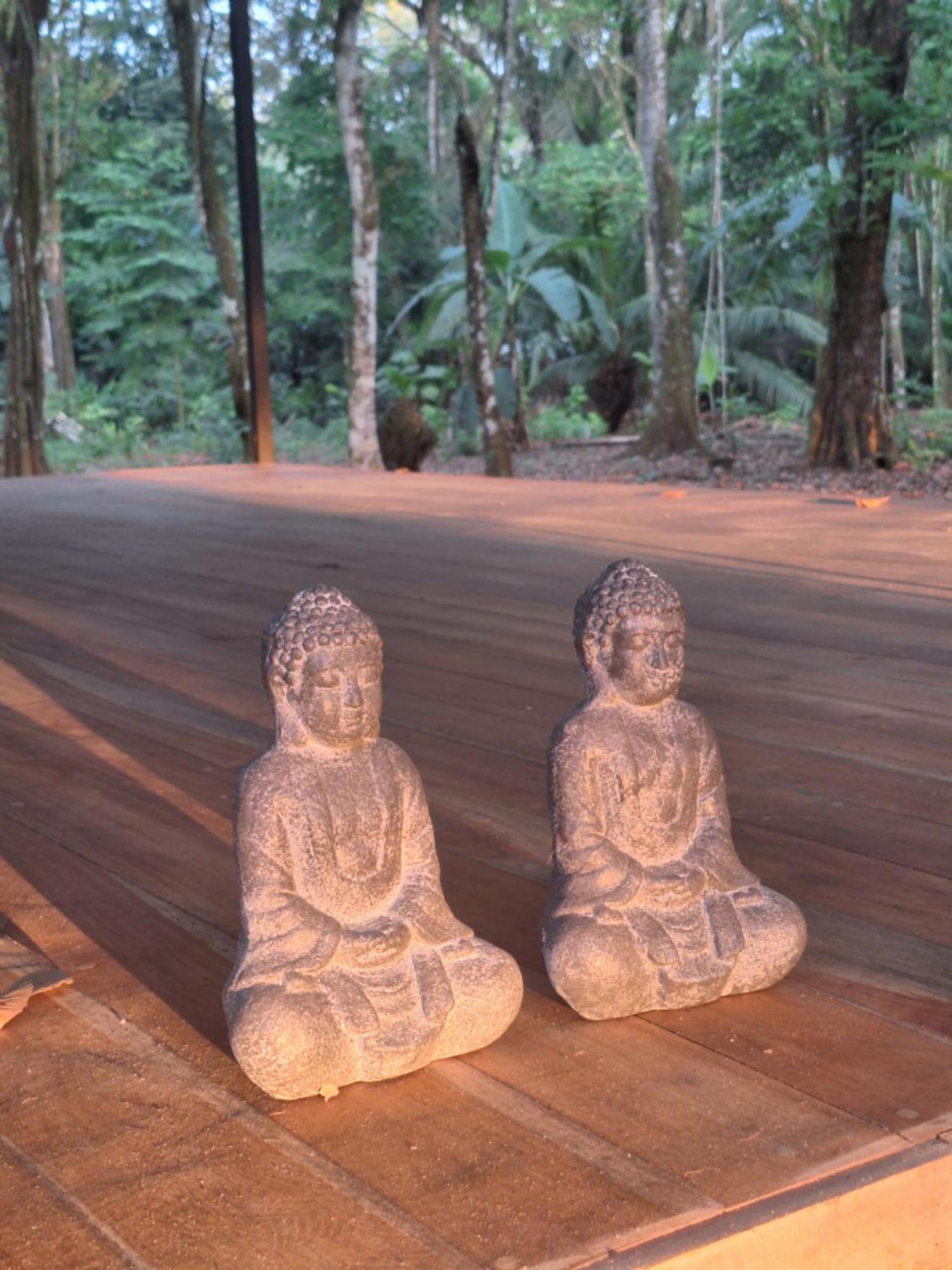 Four Monkeys Eco Lodge - Jungle & Beach Cabo Matapalo Buitenkant foto